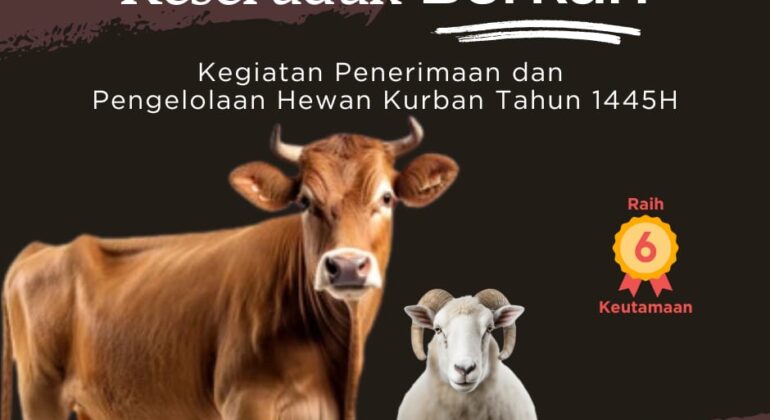 WhatsApp Image 2024-06-05 at 10.14.13